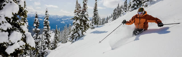 Skier skiing down steep tree-lined slope.